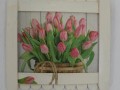 Obrázek - tulipány