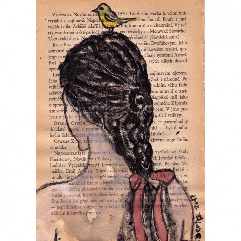 Dívka s ptáčkem vlasy pták ptáček mašle žena obrázek dívka mašlička kresba cop akvarel copánek perokresba prtáci 