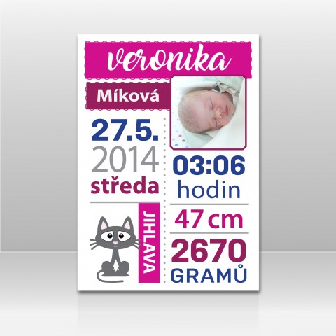Pamětní list miminka -8- dekorace miminko plakát rámeček památka narození baby grafický list 