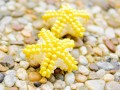 Žluté mořské hvězdice - náušnice