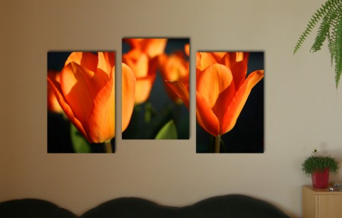 foto, triptych, oranžové tulipány oranžová pokoj květiny relax makro tulipány oddech 
