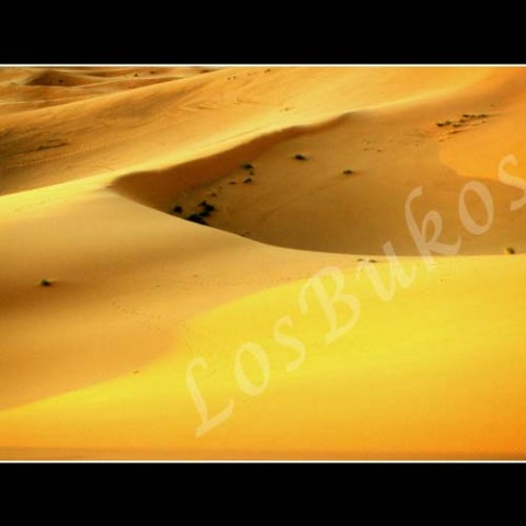 Písek na poušti krajina slunce afrika poušť písek teplo maroko duny horko sucho 