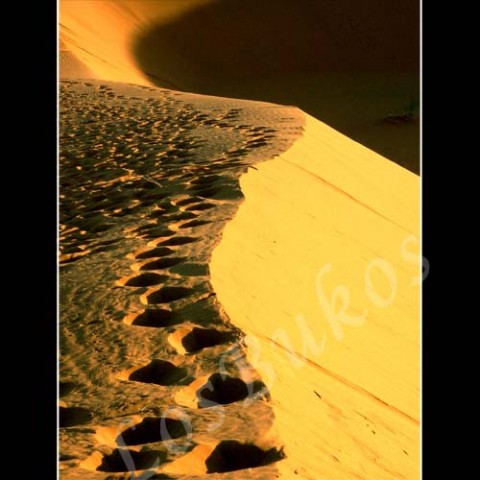 Stopy v písku krajina slunce afrika poušť písek teplo maroko duny horko sucho světlo a stín 