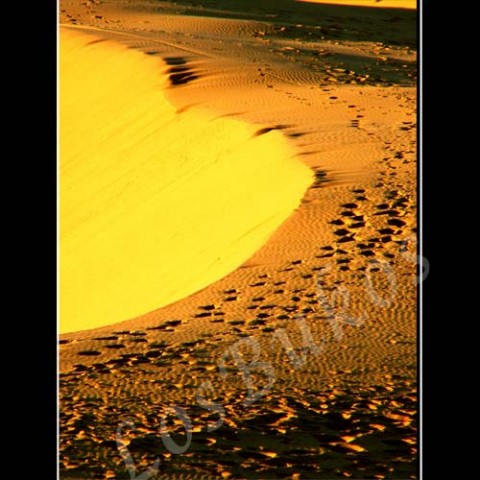 Stopy na duně krajina slunce afrika poušť písek stopy teplo maroko duny horko sucho světlo a stín 