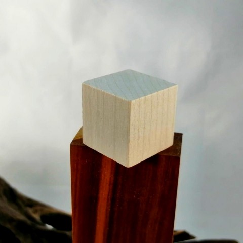 Kostky 2,7 cm- výhodné balení 100ks dřevo děti hračka kostky kostka stavebnice 