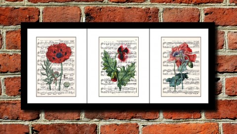 AKČNÍ SADA 3 tisků papír dekorace dárek květina obraz vintage tisk mák originál hudba hudební koláž grafika umění noty antik 19.století starý rytina opera inkoust 