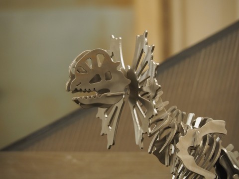 Dinosaurus děti zábava dinosaurus skládačky umění volný čas 