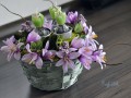 košíček s hyacinty (svíčky)..