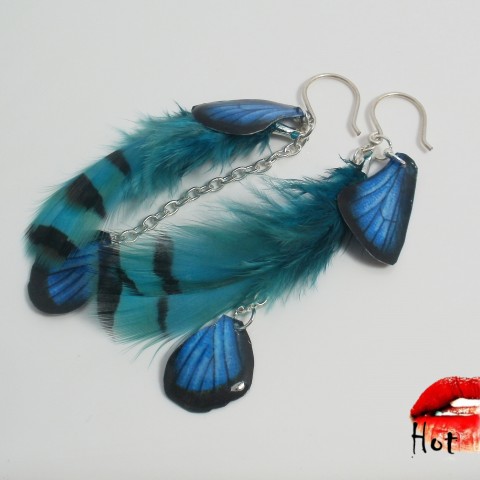 Náušnice N°2 náušnice modrá peří peříčka motýlí křídla hot hott koroptev 