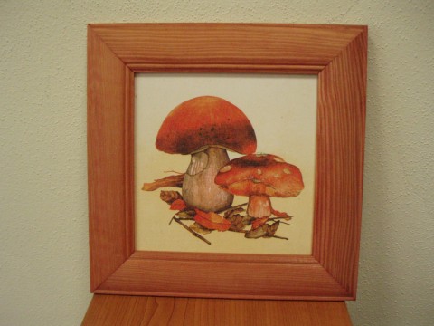 Houbičky dřevo dárek obraz vánoce hnědá obrázek ubrousek houbička houby 