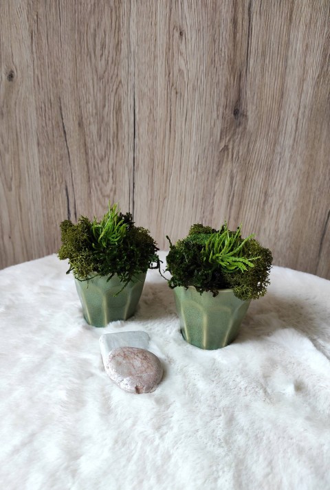 Mechová dekorace - mini dekorace dárek zelený příroda přírodní keramický mechová mech natural stylový nature trvanlivý květináček lišejník stabilizovaný bezúdržbový interiérový moss 