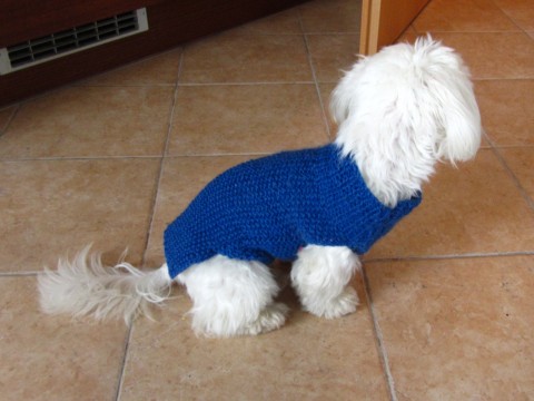 SVETR PRO MALÉHO PEJSKA - na přání pletený svetr pro pejska psí sve 