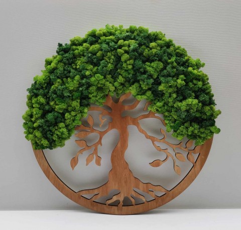 Mechový obraz, strom života, 50 cm mechová dekorace bonsai strom 