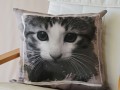 Kočičí povlak na polštářek