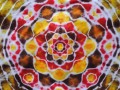 Batikované tričko- V medu květ