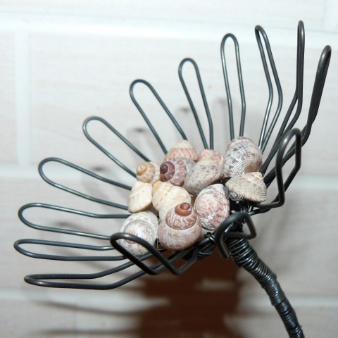 mořské květiny - II. moře drát mořský ulita šnek škeble lastura zápis 