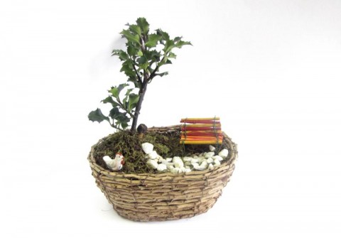 Little garden zahrada mechový miniatura cesmína ilex 