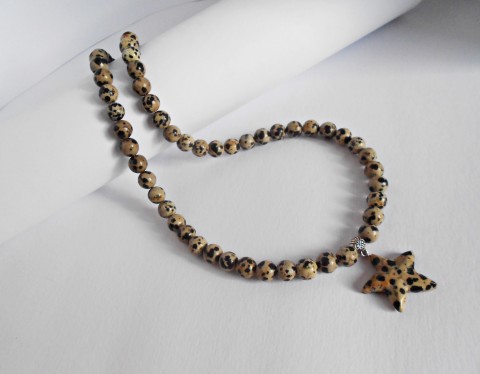 Pánský náhrdelník - Jaspis dalmatin náhrdelník pánský minerály jaspis dalmatin 