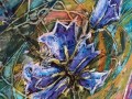 Kvety Tatier (Zvonček alpínsky)