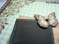 Notes motýlí