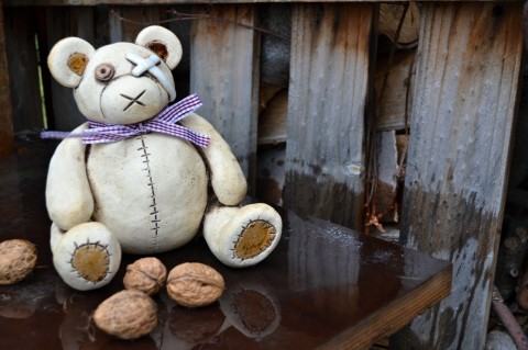 Medvěd pro DKC děti medvídek medvěd 