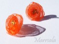 Oranžovky okvětky