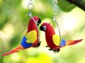papoušek Ara barevný 2 - naušnice