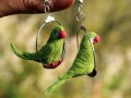 Papoušek zelený- náušnice