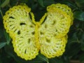 Háčkovaný motýlek