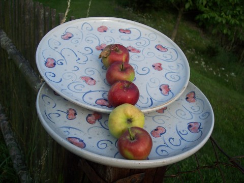 talíř velký - JABLÍČKO domov jablíčko dárek podzim kuchyně práce talíř kamenina stůl omáčka příbor jídlo zelí oběd kuchařka užitek hornet sršeň originálnost 