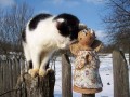 soška - ANDÍLEK   a  kočka ....
