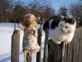 soška - ANDÍLEK   a  kočka ....