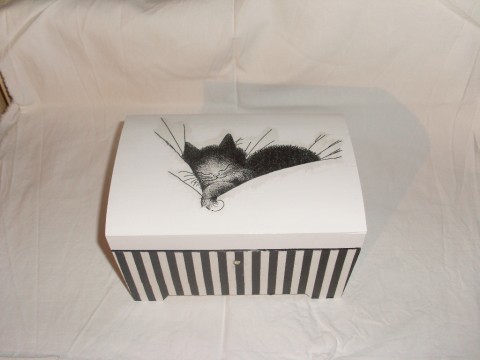 kufřík s klíčkem-kotě už spí krabička kočka kocour decoupage kotě grunterka 