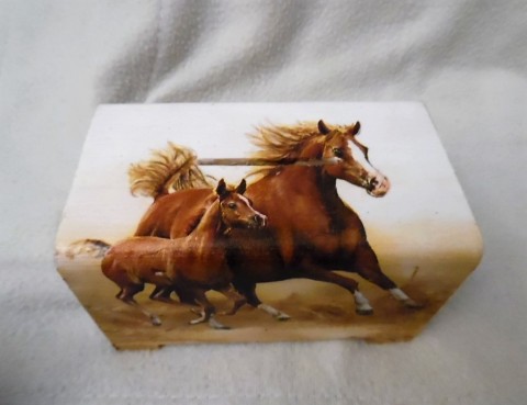 kasička koně dřevo děti kůň koník krabička decoupage pokladnička kasička grunterka klisna peníze hříbě 
