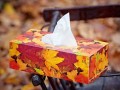 na kapesníky -podzimní listí