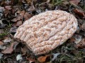 Pletená čepice - v přírodním tónu