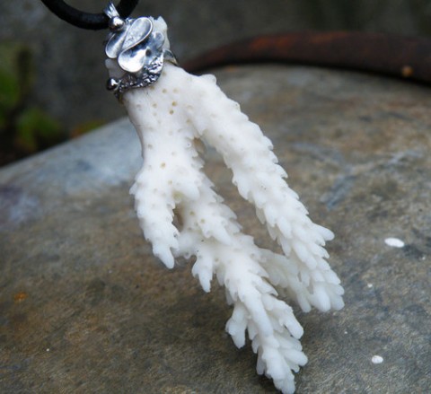 Ratolest z mořského dna (Korál) moře korál fantazie bílá přírodní stříbrná autorský surový amulet zářivý krystalky bílý korál nature 