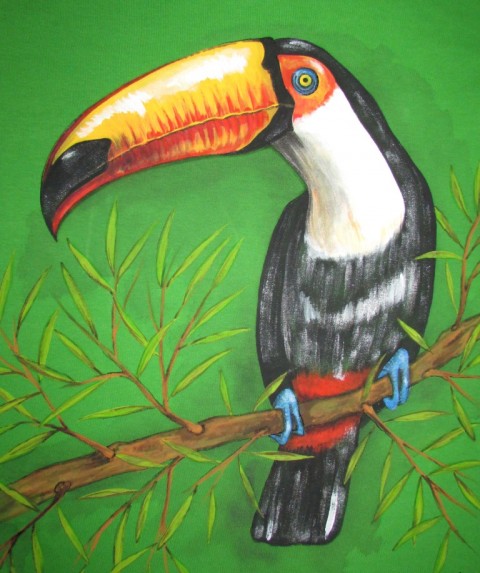 Tukan Ťuk, na objednávku zvíře strom příroda k pírka ptáčci ptáci peří tukan větev prales džungle zobák tukani 
