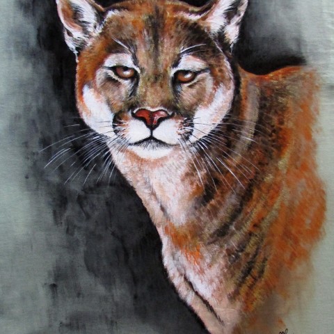 Puma, na objednávku zvíře kočka kočička příroda lev les divočina kožíšek tlapky čumáček panter puma 
