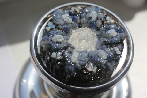 Modrá Sasanka talisman amulet orgonit 