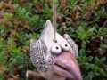 závěsný keramický ptáček