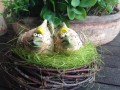hnízdo s keramickou ptačí dvojicí