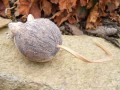 Keramická myš