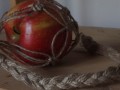 Krmítko - závěs na jablko