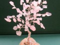 Stromeček-Břízka růženínová