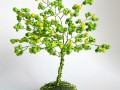 Stromeček štěstí- Citronovník