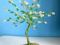 Strom života- Magnolie