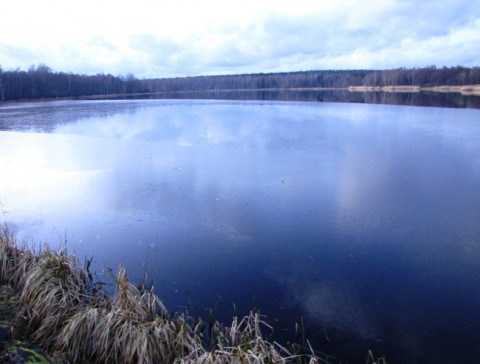 Jak pod ledem voda foto fotografie zima modrá led fotka fotky 
