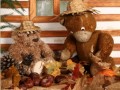 Medvídci - podzim