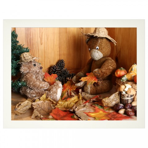 Medvídci - podzimní sběr do dekorace pro děti pokojíčku obrázky dětského vybavení dětských pokojíčků fotoobrázky fototapety 